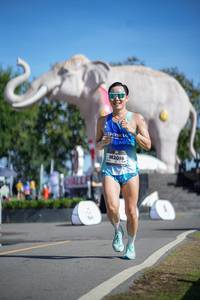 BIB: 
                            <button type="button" onclick="openModal(26541950)" class="btn btn-primary btn-sm float-right btn-popup" data-toggle="modal" data-target=".modal-high-quality">
                        <i class="fas fa-shopping-cart"></i> Add to Cart
                    </button>
                                            <button type="button" onclick="isThisMe(26541950, true)" class="btn btn-success btn-sm float-right btn-popup btn-isme hidden" data-toggle="tooltip" data-placement="bottom" title="นี่คือรูปของคุณใช่ไหม คลิกที่นี่เพื่อเอาเข้าอัลบั้ม">
                        <i class="fas fa-plus"></i> Add to album
                    </button>
                    <button type="button" onclick="isThisMe(26541950, false)" class="btn btn-warning btn-sm float-right btn-popup btn-isnotme hidden">
                        <i class="fas fa-ban"></i> Remove from album
                    </button>